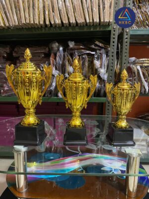 Small Toy Trophy